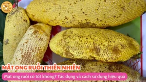 Mật ong ruồi có tốt không? Tác dụng và cách sử dụng hiệu quả