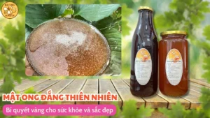 Mật ong đắng thiên nhiên: Bí quyết vàng cho sức khỏe và sắc đẹp