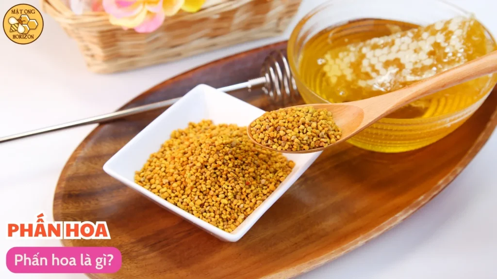 Phấn hoa là gì?
