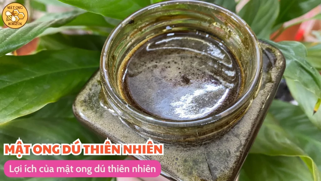 Lợi ích của mật ong dú thiên nhiên