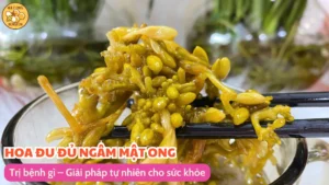 Bông đu đủ đực ngâm với mật ong trị bệnh gì - Giải pháp tự nhiên cho sức khỏe