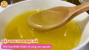 Mật ong hoa bạc hà - Tinh hoa thiên nhiên từ vùng cao nguyên