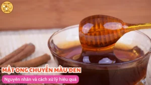 Mật ong chuyển màu đen: Nguyên nhân và cách xử lý hiệu quả