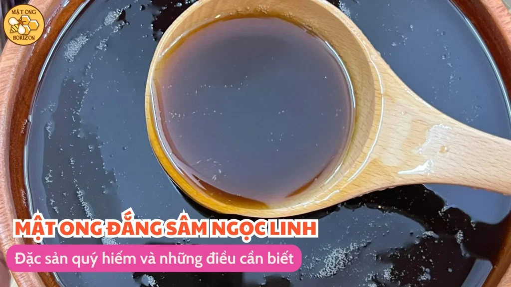 Mật ong đắng Sâm Ngọc Linh: Đặc sản quý hiếm và những điều cần biết