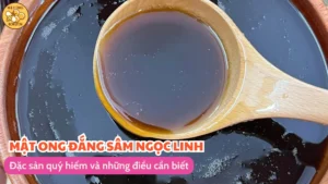 Mật ong đắng Sâm Ngọc Linh: Đặc sản quý hiếm và những điều cần biết