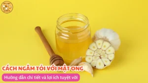 Cách ngâm tỏi với mật ong: Hướng dẫn chi tiết và lợi ích tuyệt vời