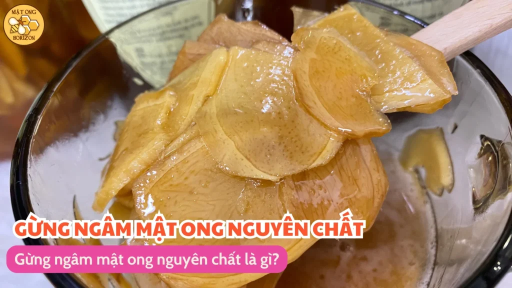 Gừng ngâm mật ong nguyên chất: Công thức đơn giản, lợi ích tuyệt vời 6 Gừng ngâm mật ong nguyên chất là gì?
