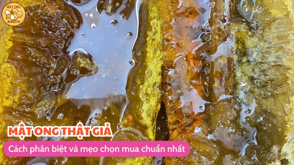 Mật ong thật giả: Cách phân biệt và mẹo chọn mua chuẩn nhất