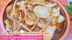 Tác dụng của sâm ngâm mật ong: Lợi ích sức khỏe và cách sử dụng hiệu quả