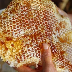 Sáp ong khoái thiên nhiên cắt miếng cả mật ong