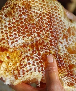 Sáp ong khoái thiên nhiên cắt miếng cả mật ong 17 Sáp ong khoái thiên nhiên cắt miếng cả mật ong