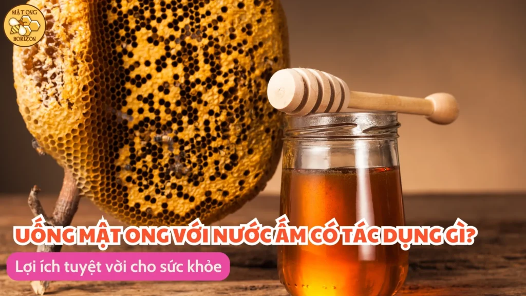Uống mật ong với nước ấm có tác dụng gì? Lợi ích tuyệt vời cho sức khỏe