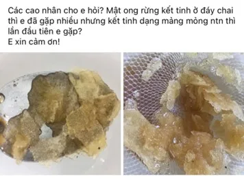 9e58b53b Fa2e 4de0 B97e 76b0b0f7095a