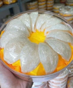 Tổ yến định hình A5 Xuất khẩu 5 Z5927336367975_38db5a9da0be6ae906fa7c04931e5e4a