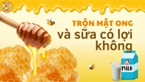 Trộn mật ong và sữa có lợi không?
