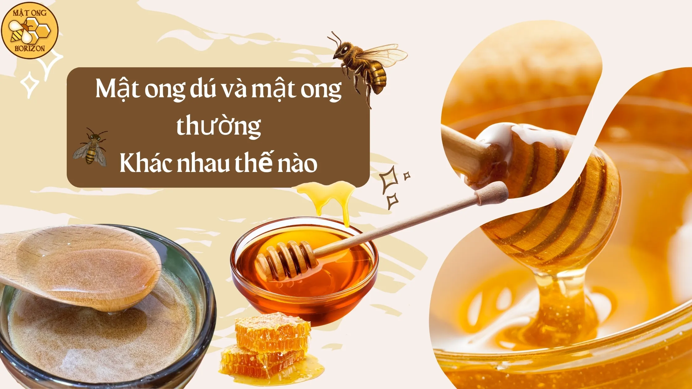 Mật ong dú và mật ong thường: Khác nhau thế nào?
