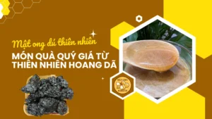 Mật ong dú thiên nhiên – món quà quý giá từ thiên nhiên hoang dã