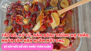 Táo đỏ kỷ tử đông trùng hạ thảo nhân sâm ngâm mật ong: "Bí kíp" bồi bổ sức khỏe toàn diện
