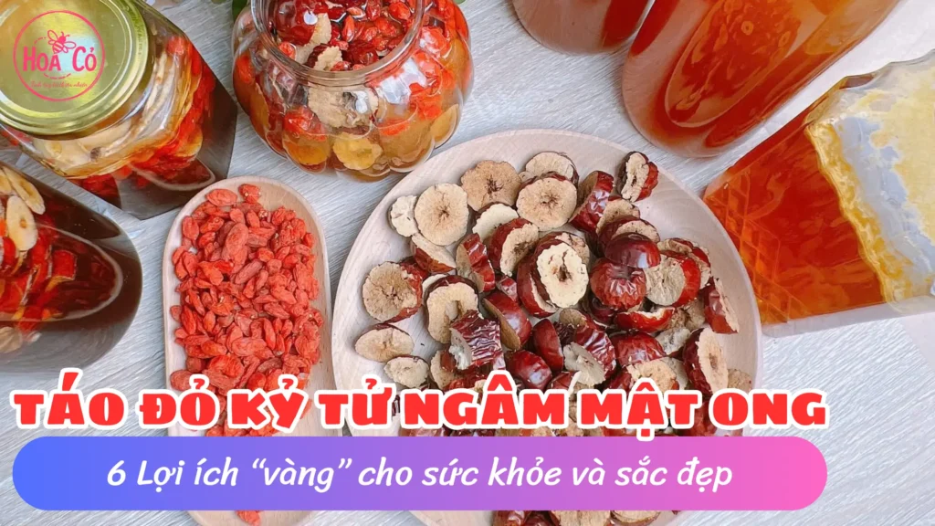 Táo đỏ kỷ tử ngâm mật ong có tác dụng gì? 6 Lợi ích "vàng" cho sức khỏe và sắc đẹp 2 Táo đỏ kỷ tử ngâm mật ong có tác dụng gì? 6 Lợi ích "vàng" cho sức khỏe và sắc đẹp