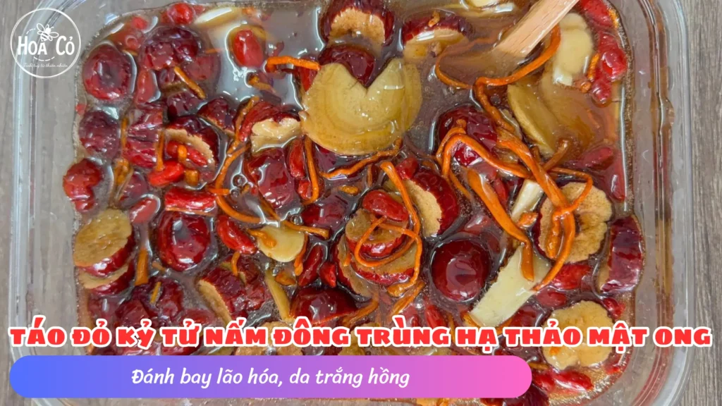 Đánh bay lão hóa, da trắng hồng nhờ uống Táo đỏ Kỷ tử Đông trùng ngâm Mật ong mỗi sáng 2 Đánh bay lão hóa, da trắng hồng nhờ uống Táo đỏ Kỷ tử Đông trùng ngâm Mật ong mỗi sáng