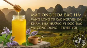 Mật ong hoa bạc hà: vàng lỏng từ cao nguyên đá, khám phá hương vị độc đáo và công dụng tuyệt vời