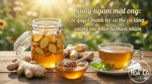 Gừng ngâm mật ong: bí quyết thanh lọc cơ thể và tăng cường sức khỏe từ thiên nhiên