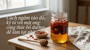 Cách ngâm táo đỏ, kỷ tử với mật ong: công thức bổ dưỡng, dễ làm tại nhà