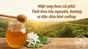 Mật ong hoa cà phê: Tinh hoa Tây Nguyên, hương vị độc đáo khó cưỡng