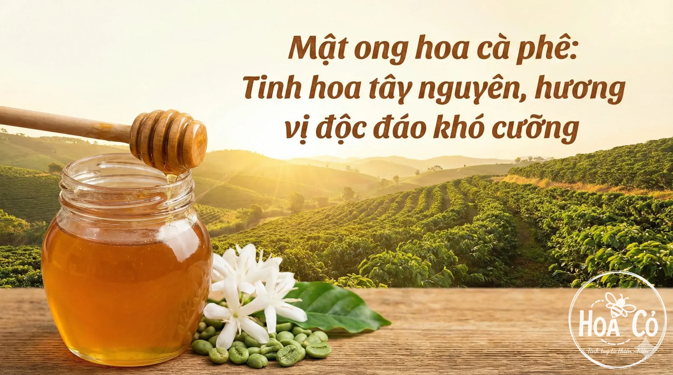 Mật ong hoa cà phê: Tinh hoa Tây Nguyên, hương vị độc đáo khó cưỡng