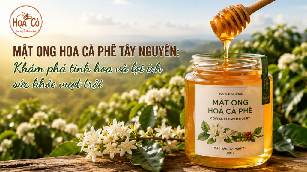 Mật ong hoa cà phê Tây Nguyên: Khám phá tinh hoa và lợi ích sức khỏe vượt trội 2 Mật ong hoa cà phê Tây Nguyên: Khám phá tinh hoa và lợi ích sức khỏe vượt trội