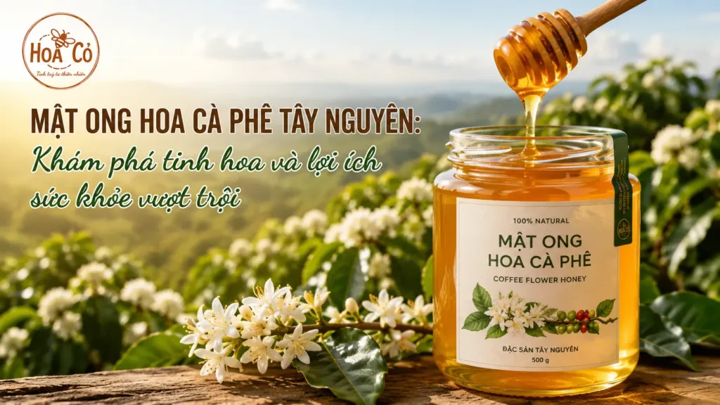 Mật ong hoa cà phê Tây Nguyên: Khám phá tinh hoa và lợi ích sức khỏe vượt trội 2 Mật ong hoa cà phê Tây Nguyên: Khám phá tinh hoa và lợi ích sức khỏe vượt trội